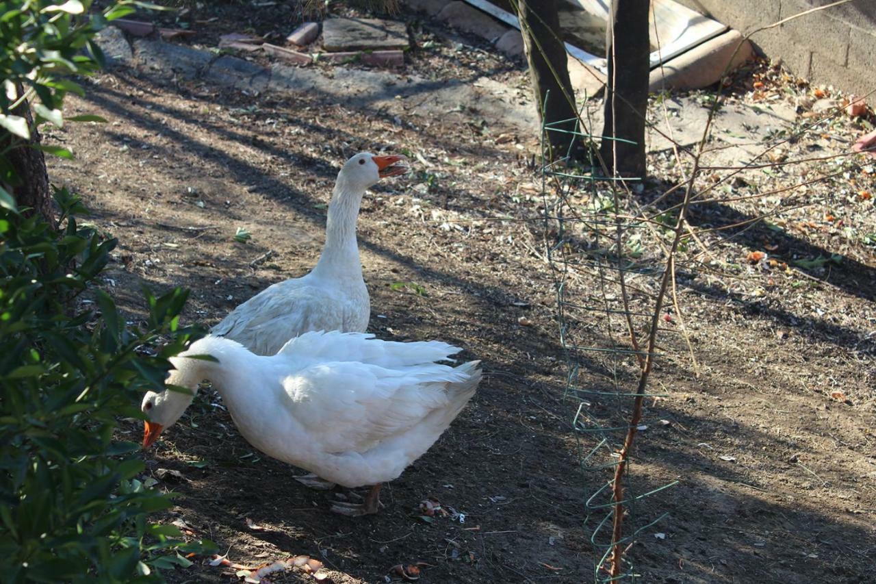 Canneto Pavese Delightful Home-Lovely Hill View מראה חיצוני תמונה